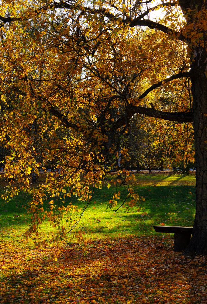 Photograph by Nadezda Sarap