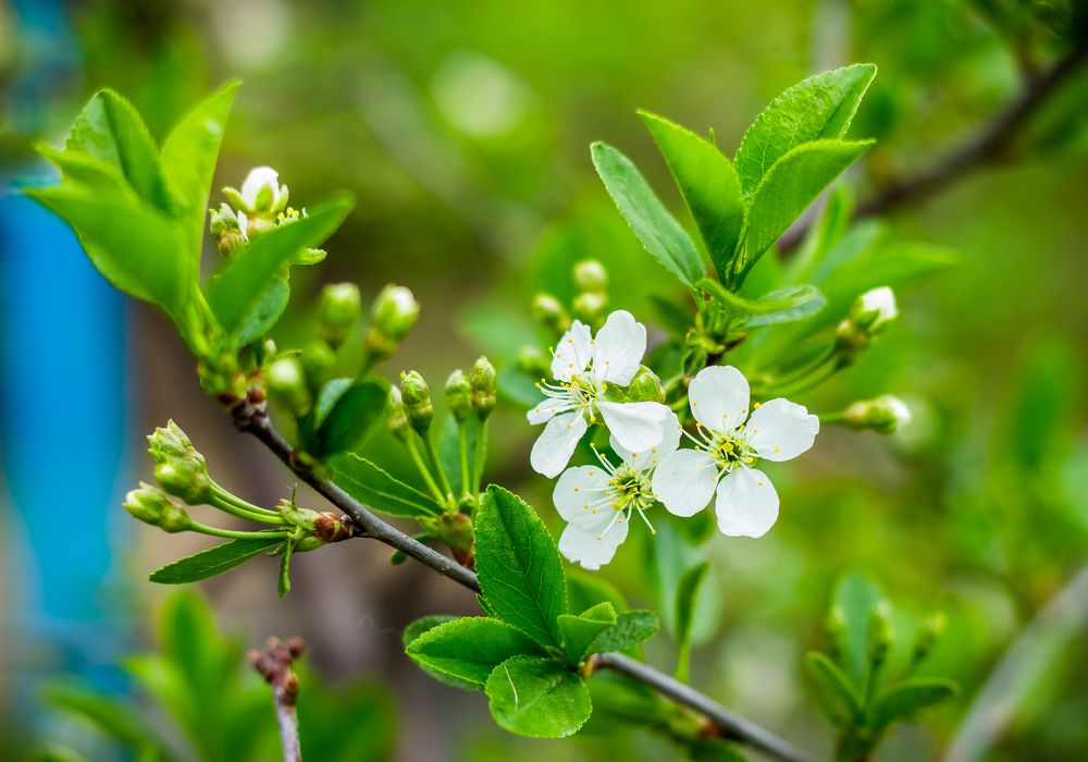 Photograph by Нефедова Ангелина