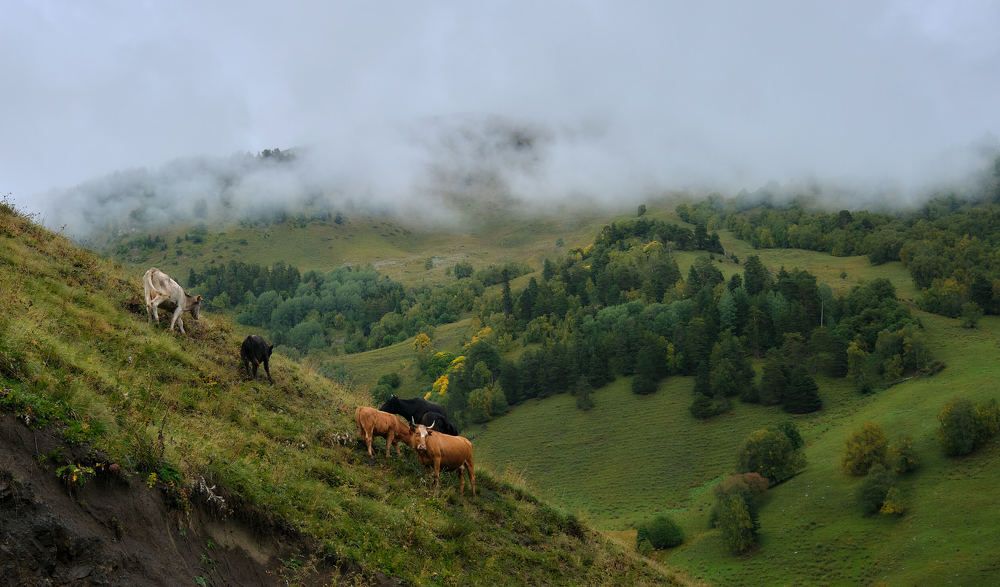 Photograph by Игорь Тымчук