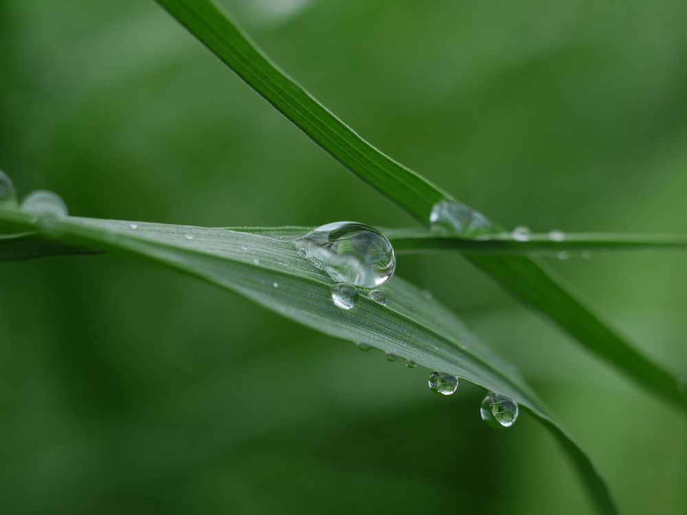 Photograph by Иван Скрипкин