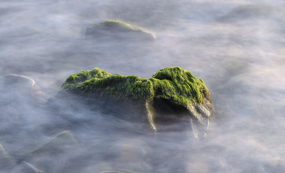 Photograph by Diana Karp