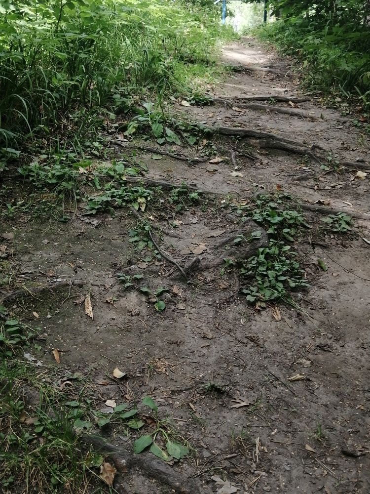 Фотография автора Татьяна Савранчук