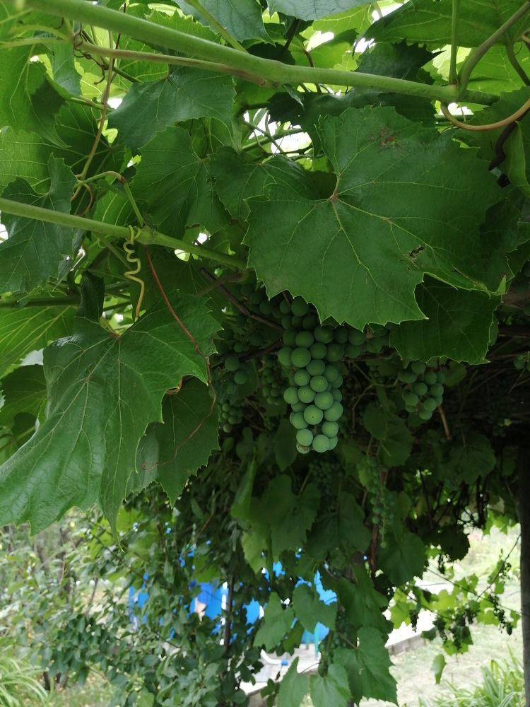 Фотография автора Татьяна Савранчук