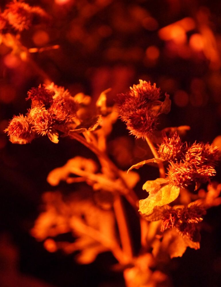 Photograph by Баженова Наталья