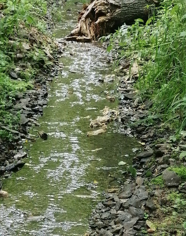 Фотография автора Татьяна Савранчук