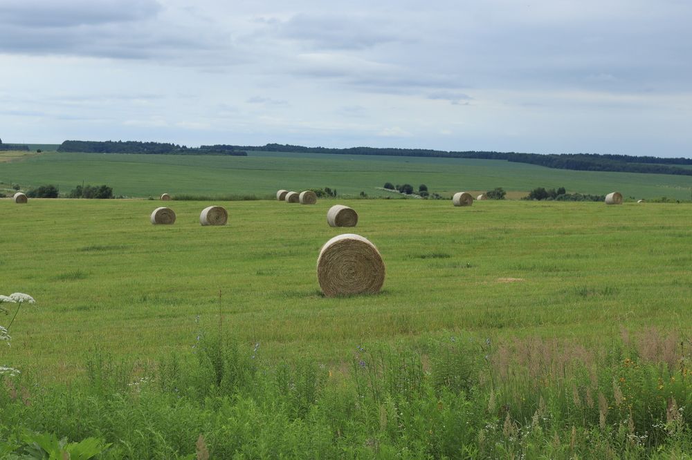 Photograph by Иван Скрипкин