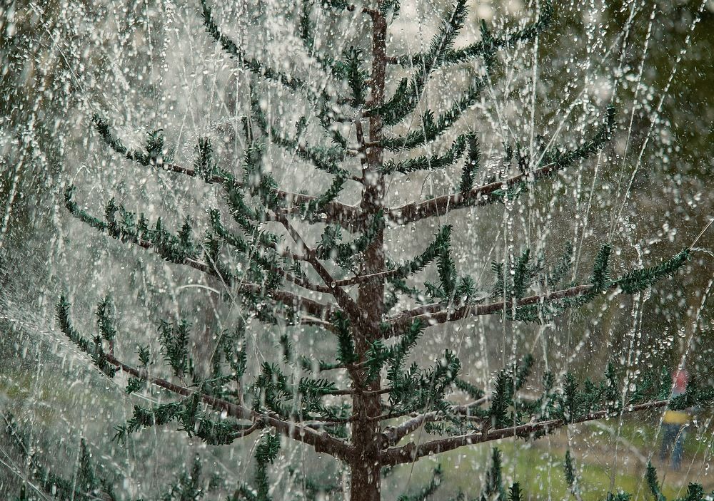 Фотография автора Gleb Kolobaev