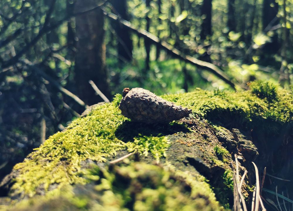 Photograph by Ева Мельникова