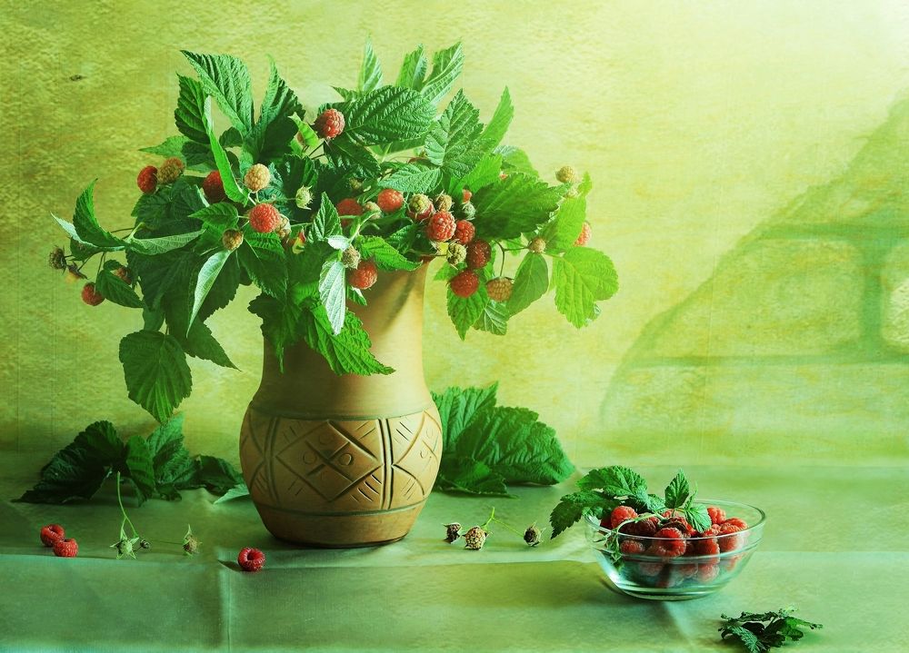 Photograph by Светлана Лехмус