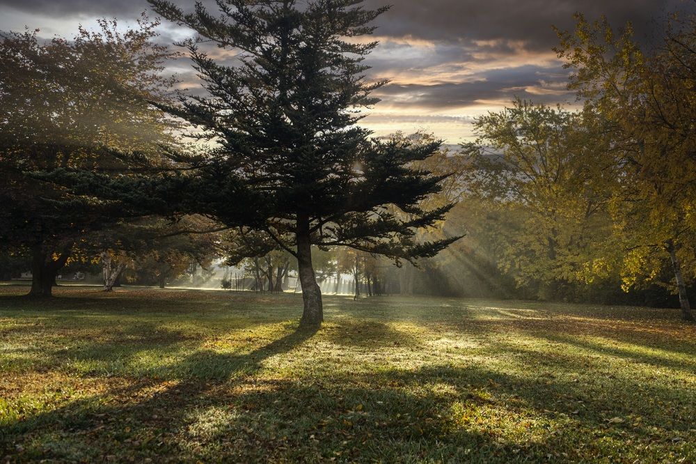 Photograph by Ksenia Kouri