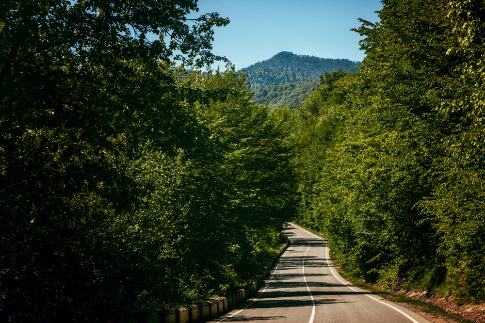 Photograph by EKATERINA WALTER