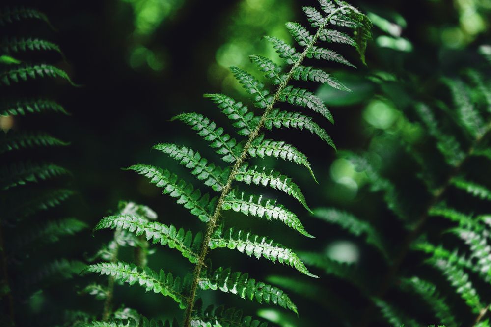 Photograph by EKATERINA WALTER