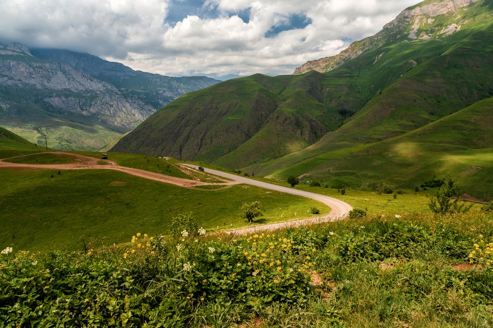 Photograph by EKATERINA WALTER