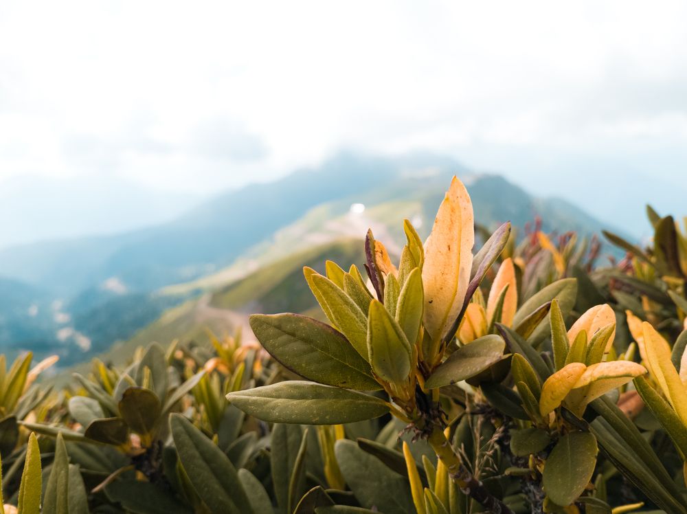 Photograph by Алексей Власов