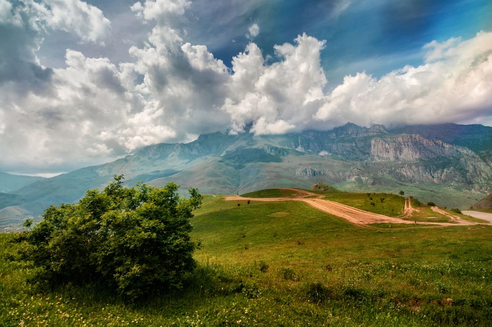 Photograph by EKATERINA WALTER