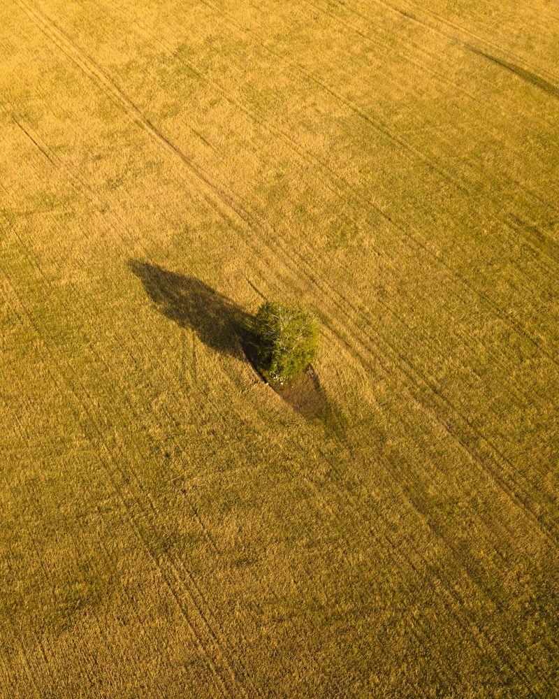 Photograph by Алексей Власов