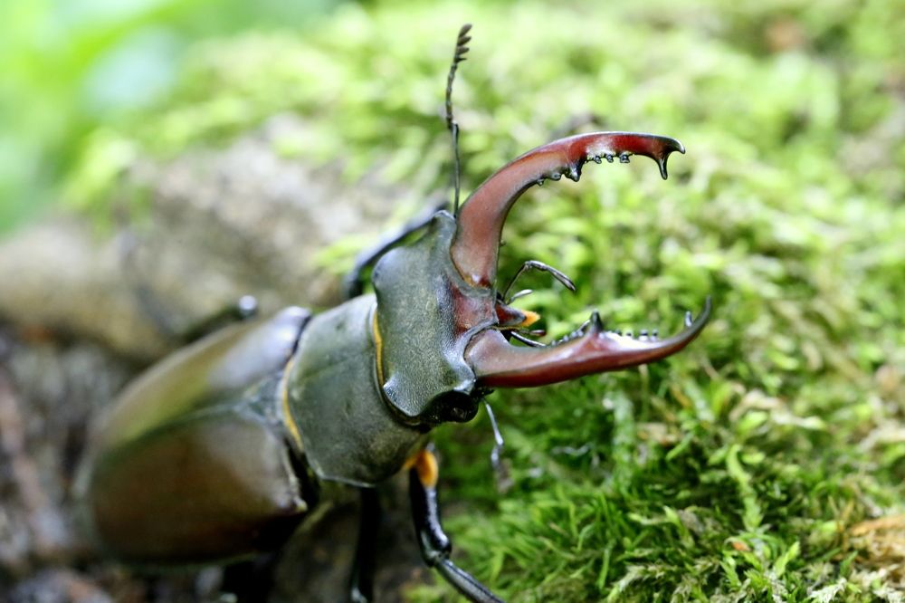 Photograph by Унку Юрий