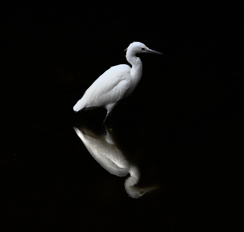 Photograph by Harsha Devalla