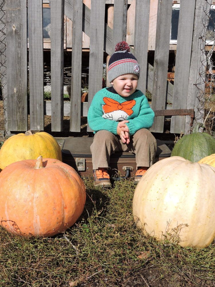 Photograph by Михаил Царикевич