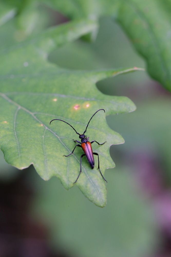 Photograph by Унку Юрий