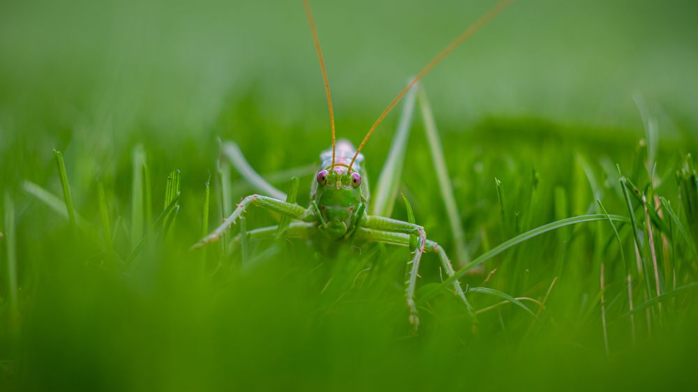 Photograph by Мелихов Вадим