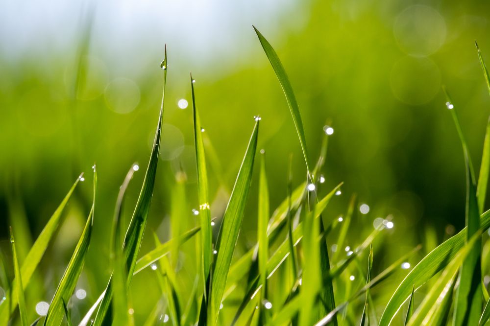 Photograph by Мелихов Вадим