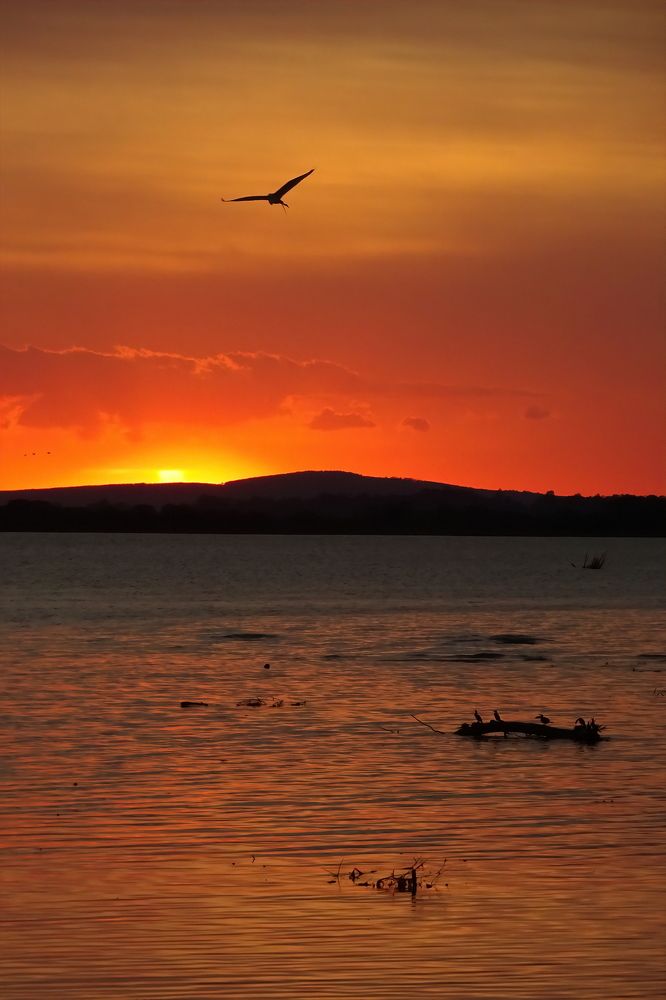 Photograph by Marcelo Luzzi