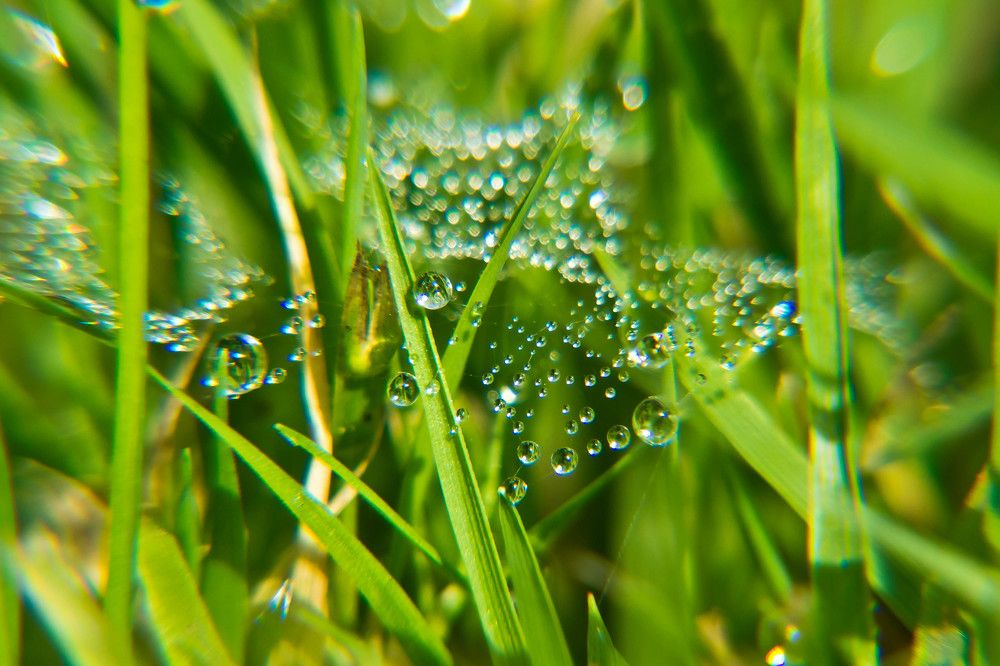 Фотография автора Юлия Кранина