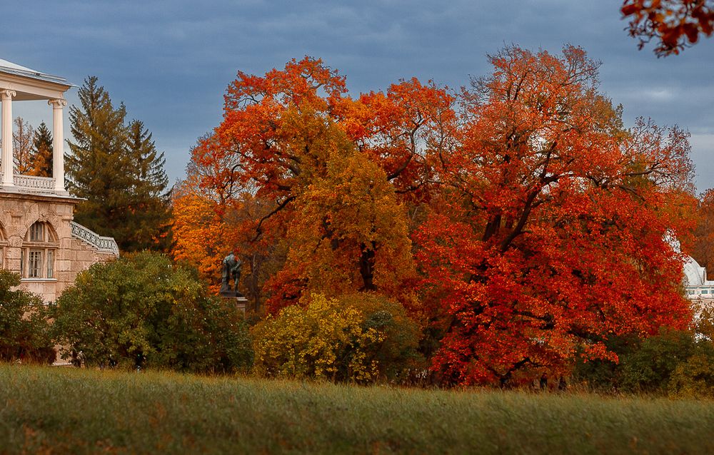 Фотография автора Андрей Редьков