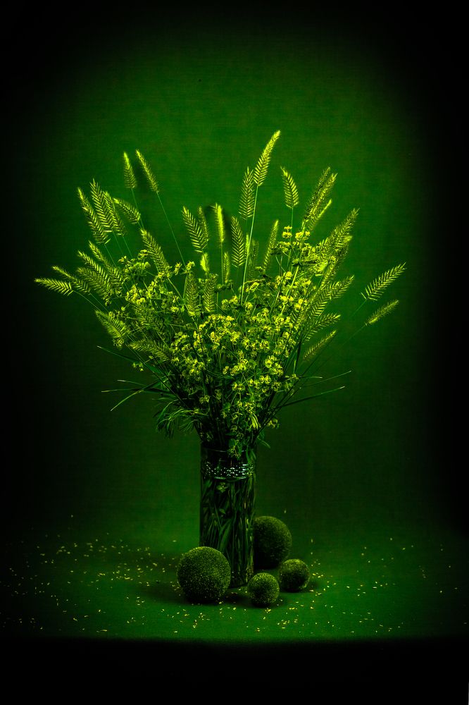 Photograph by Марина Бердяева