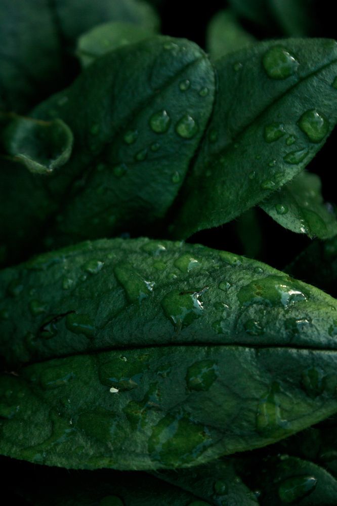 Photograph by Нелли