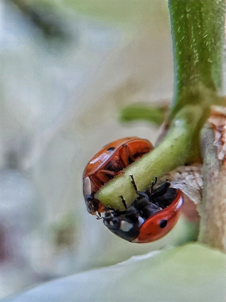 Photograph by Татьяна Григорчук