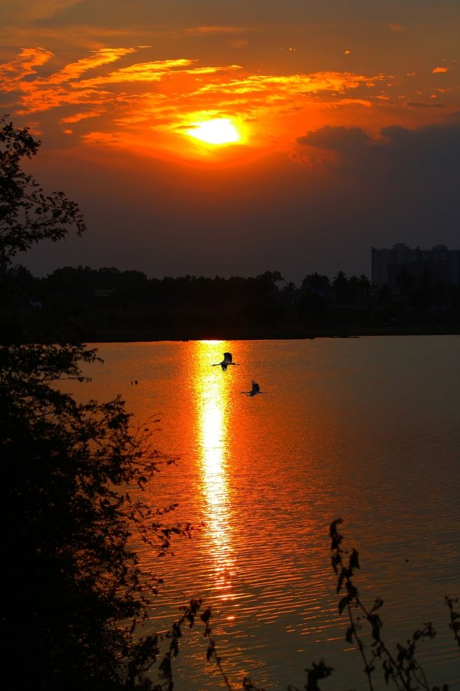 Photograph by Varun