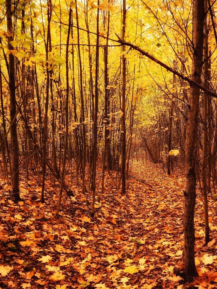 Photograph by Елена Никитенко