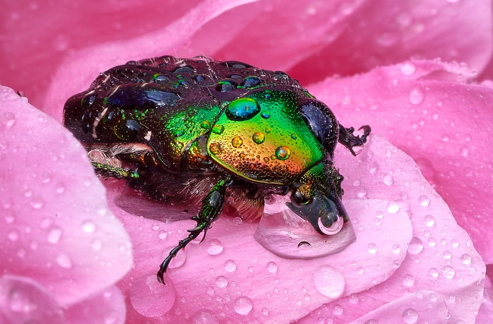 Photograph by Игорь Тымчук