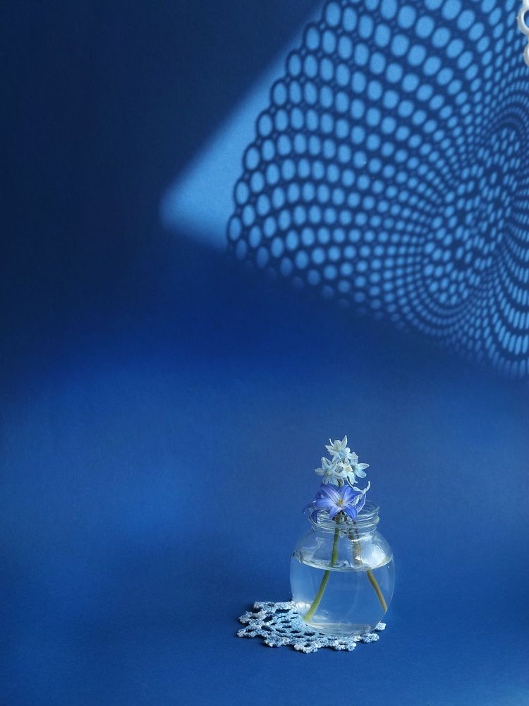 Photograph by Екатерина