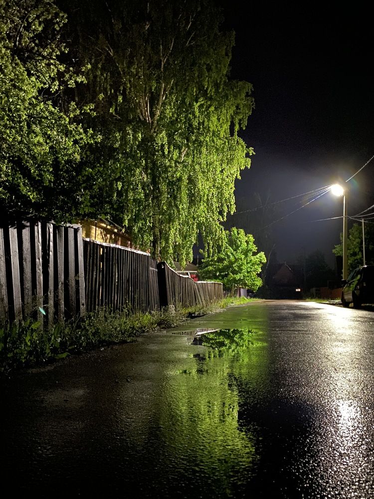 Photograph by Елена Гущина