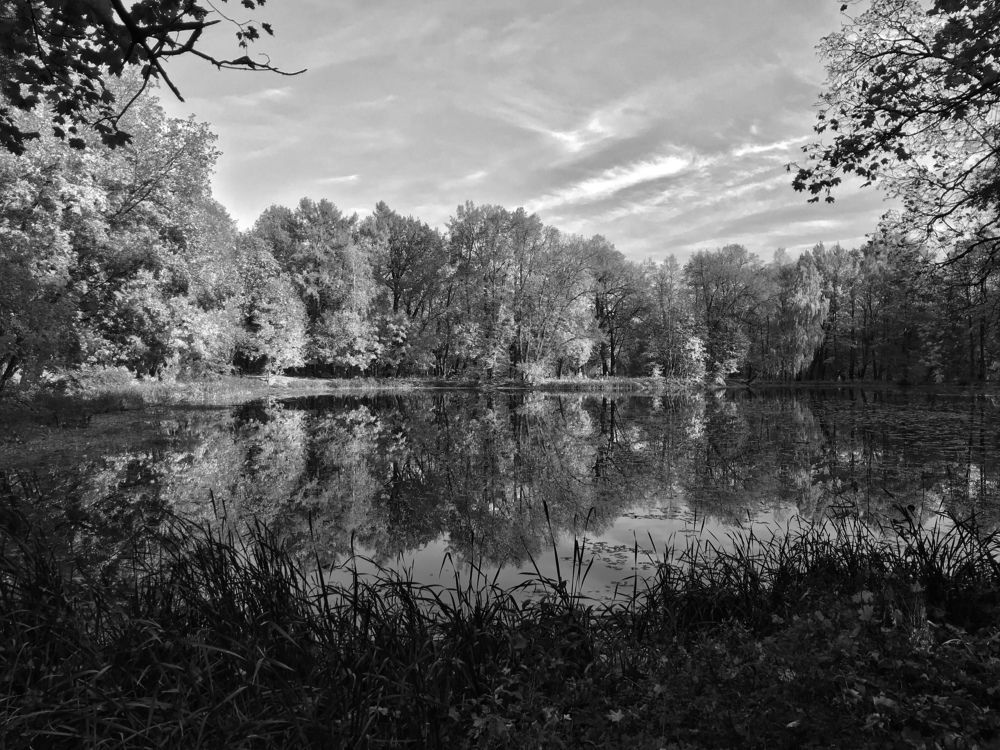 Photograph by Михаил Некрасов