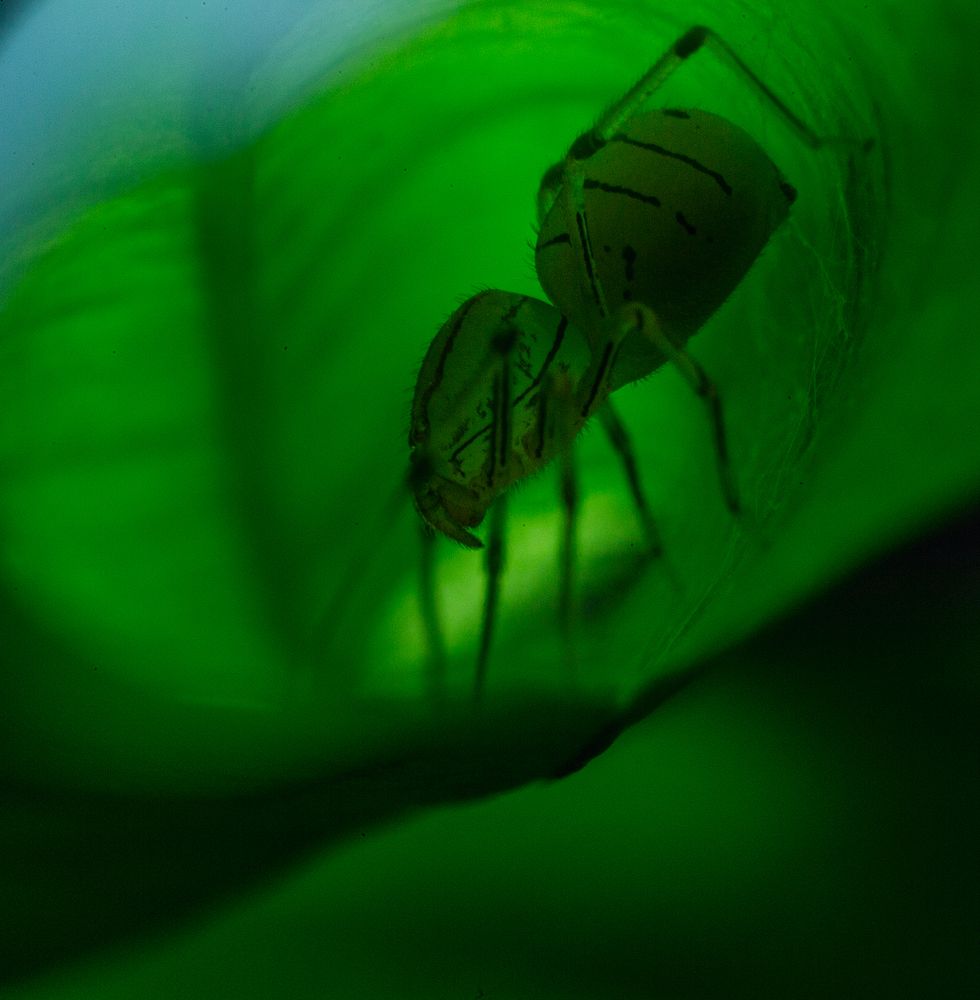 Фотография автора Laddu Sasindu Pramuditha De Silva