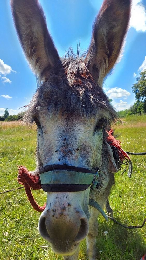 Photograph by ЭЛЬМИРА  ИСМАИЛОВА