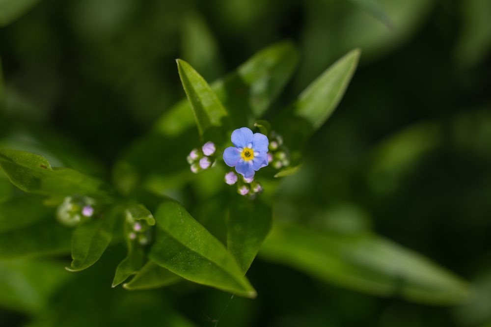 Photograph by Руслана Валеева