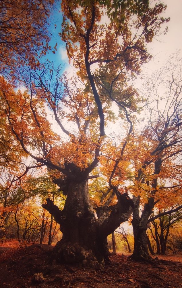 Photograph by Татьяна Бондар