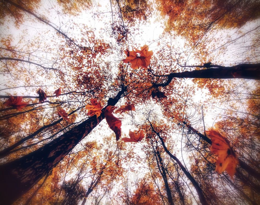 Photograph by Илья