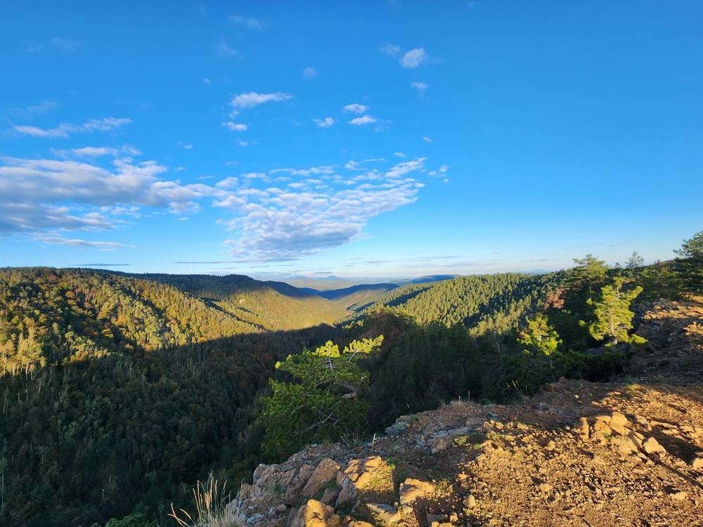 Photograph by Maja Micovic