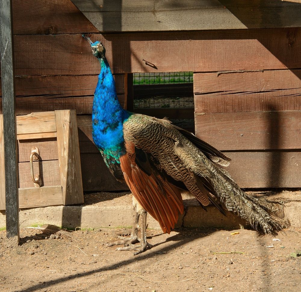 Photograph by Татьяна Смирнова