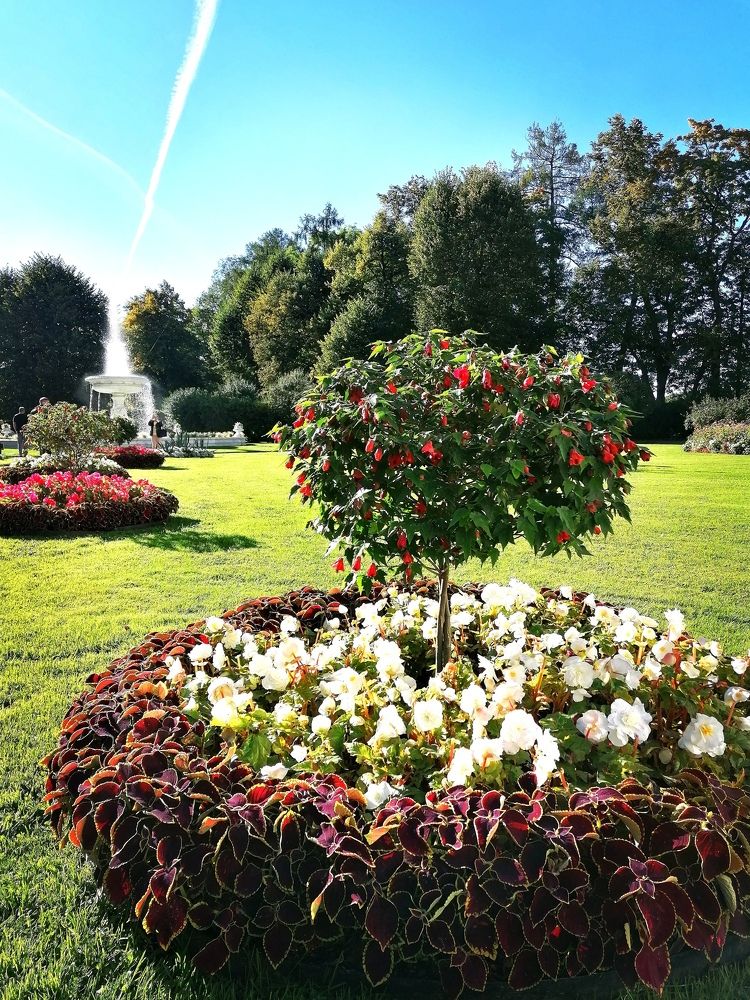 Photograph by Кристина Шмырева