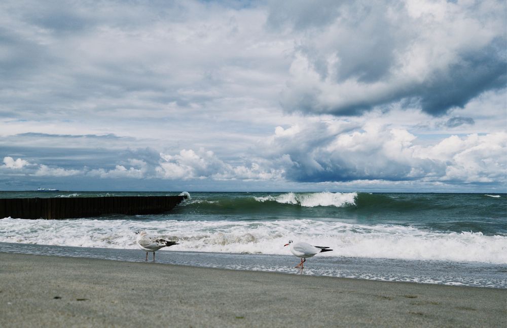 Photograph by Женя Жданова