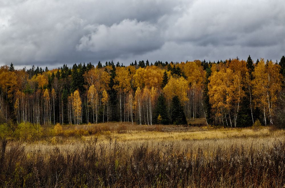 Photograph by Анатолий Калмыков