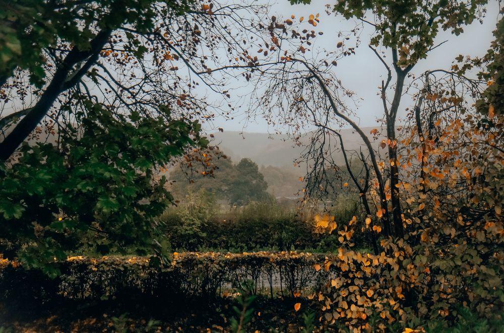 Photograph by Irina Zoteeva