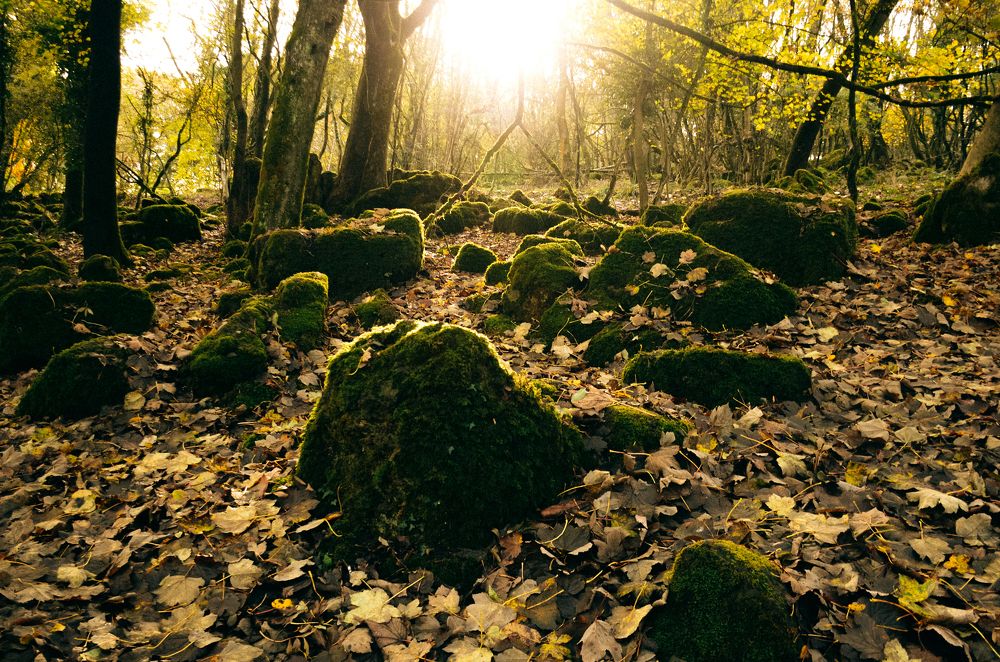 Photograph by Irina Zoteeva